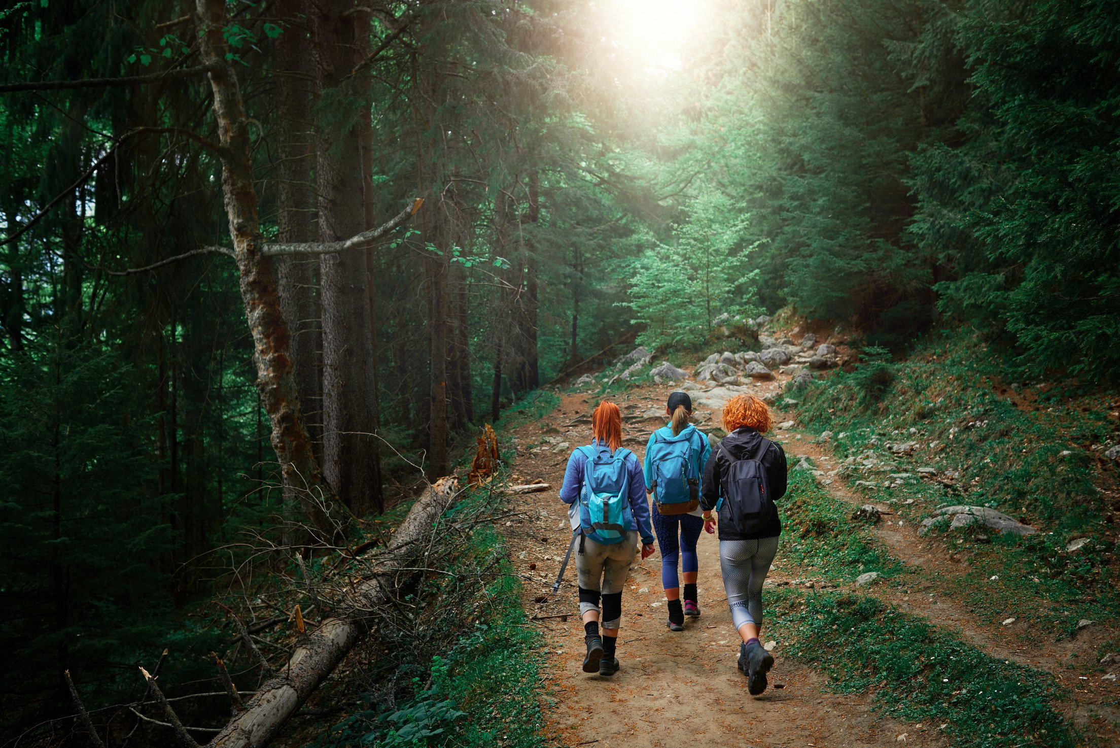 friends exploring nature